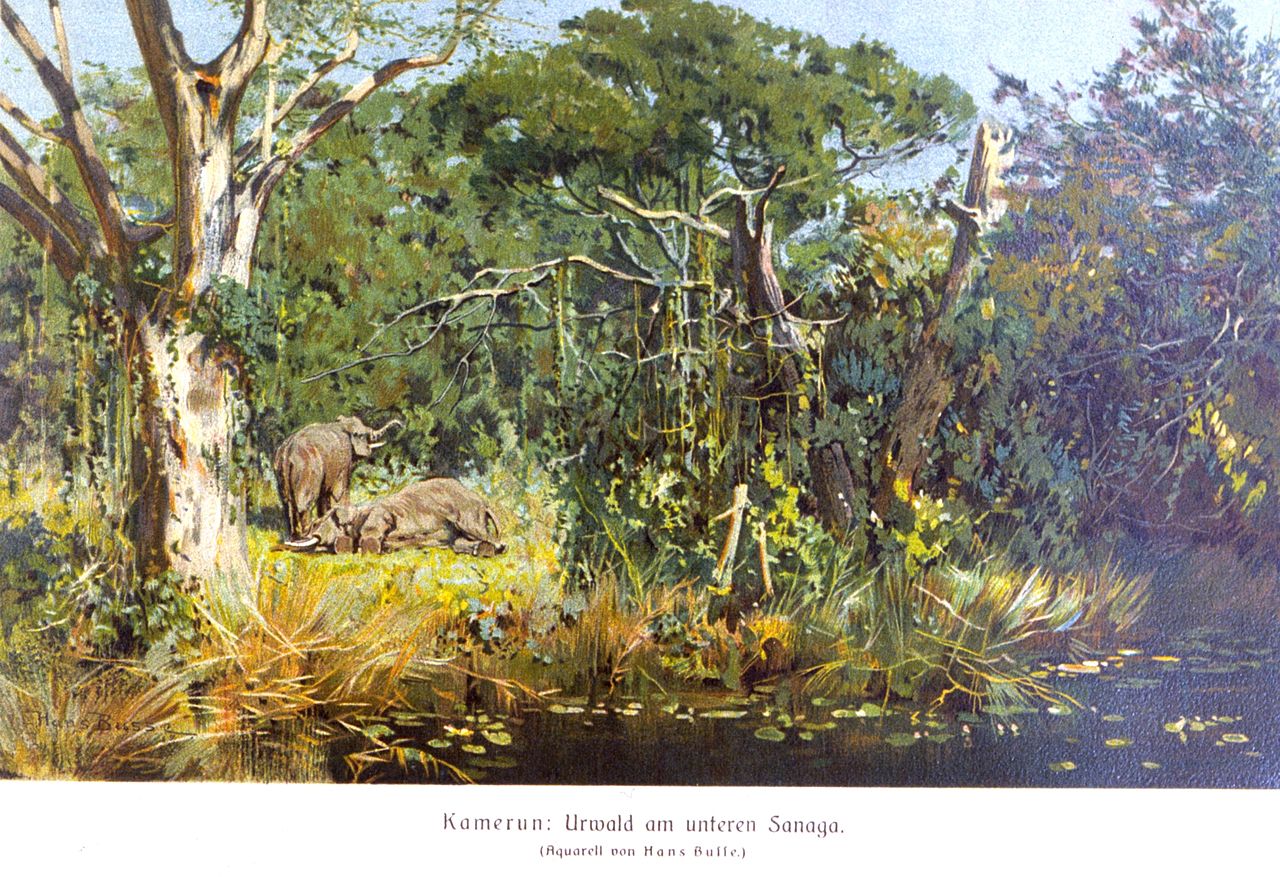 Азиатский слон в лесу